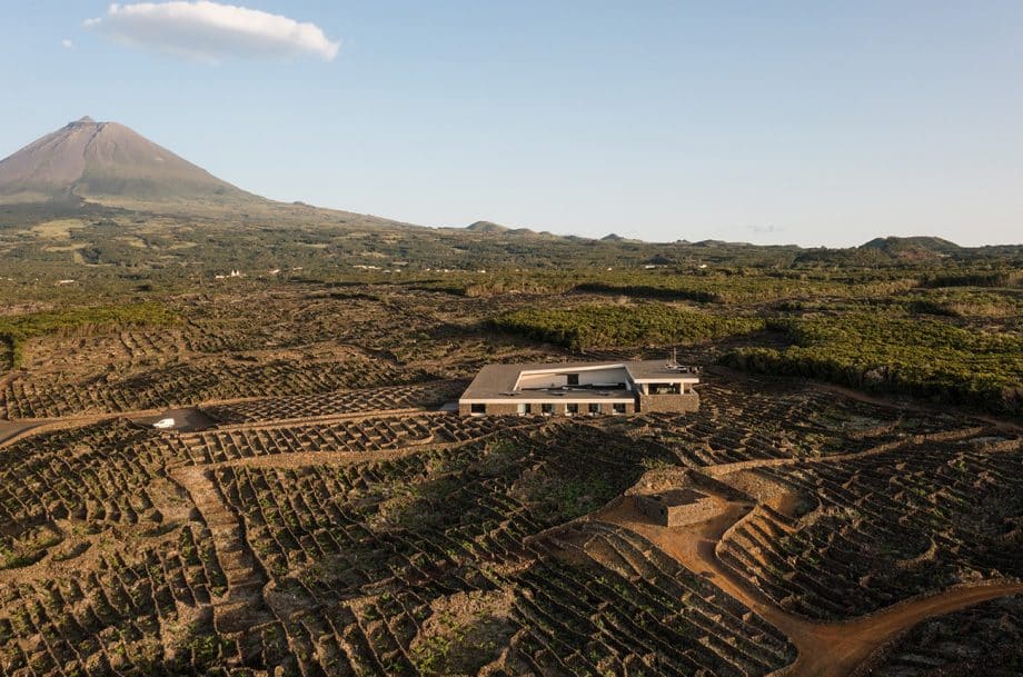 Azores to get own regional vine and wine institute