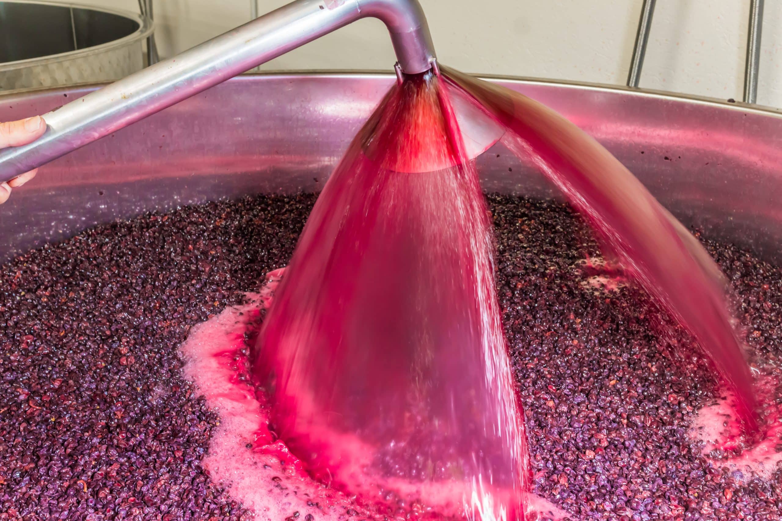 INOCULBACT Nuevo proyecto de I+D para controlar la fermentación maloláctica de los vinos