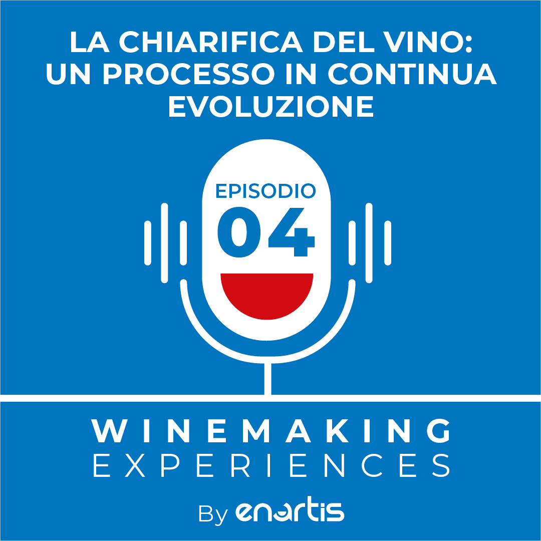 La chiarifica del vino: un processo in continua evoluzione