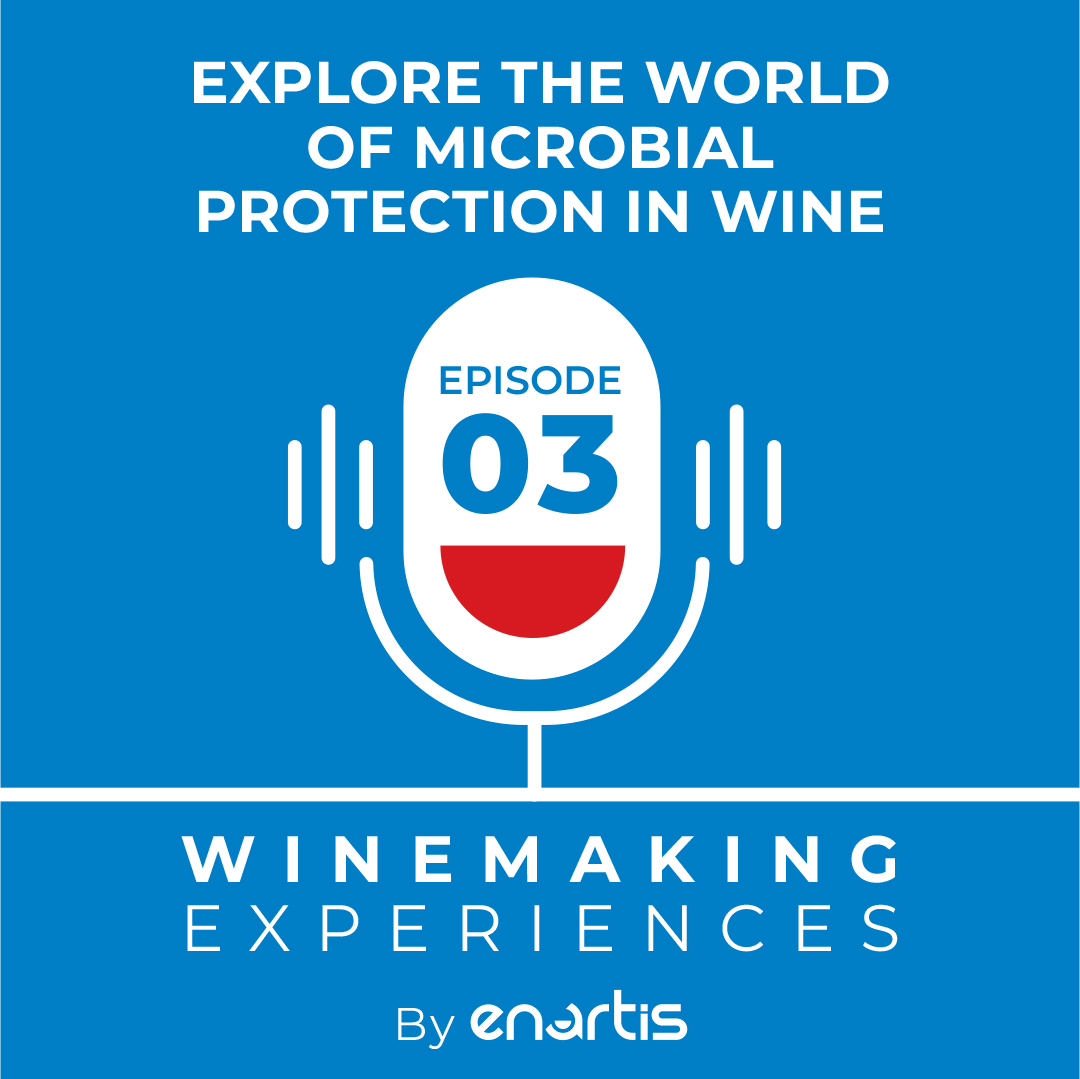 Explore the world of microbial protection in wine